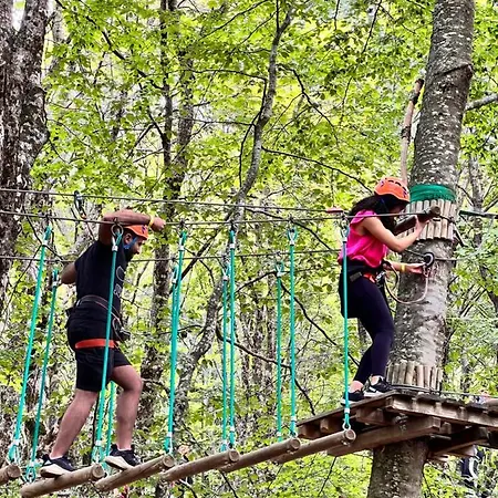 Hotel Tower - Belvedere Dajt