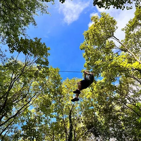 Hotel Tower - Belvedere